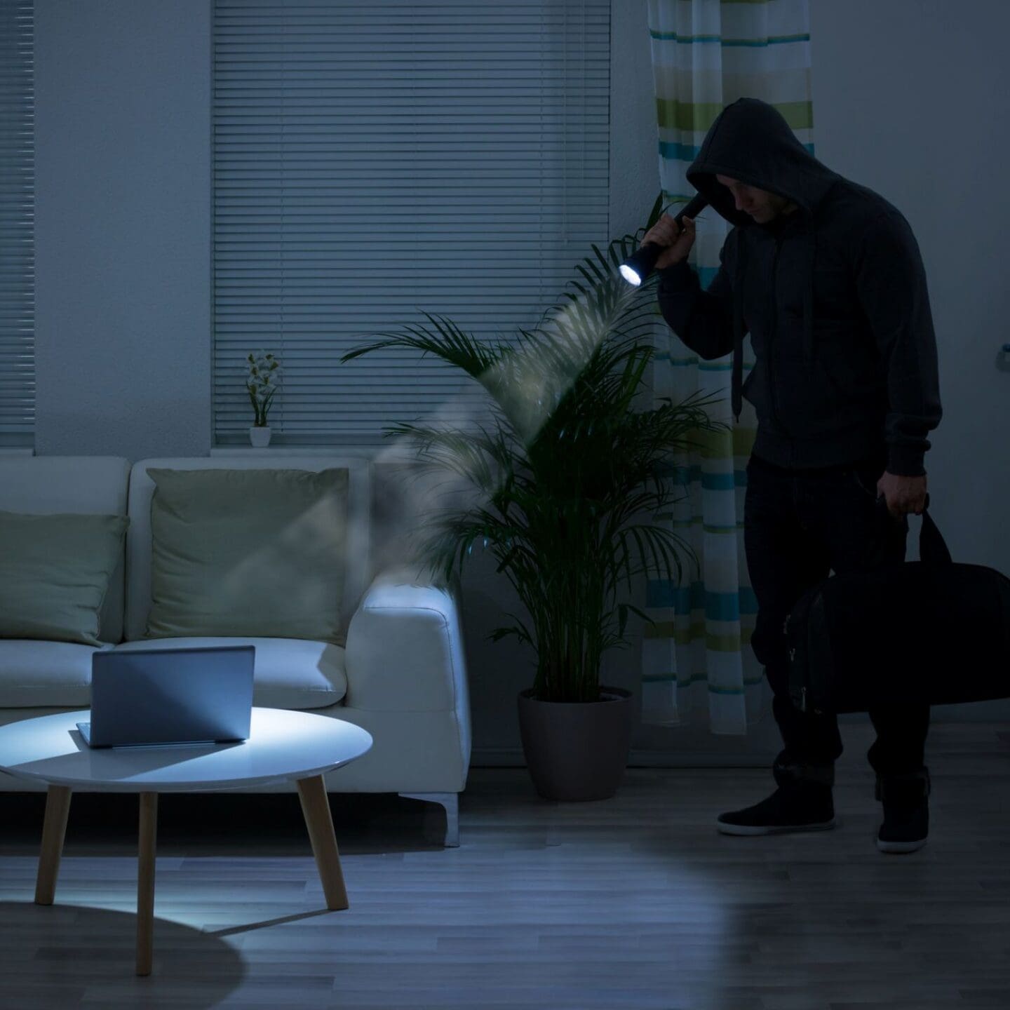 Intruder Alarm Systems